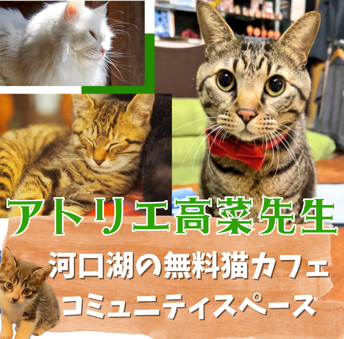 河口湖　アクティビティ